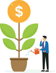 Owner Wealth Increase